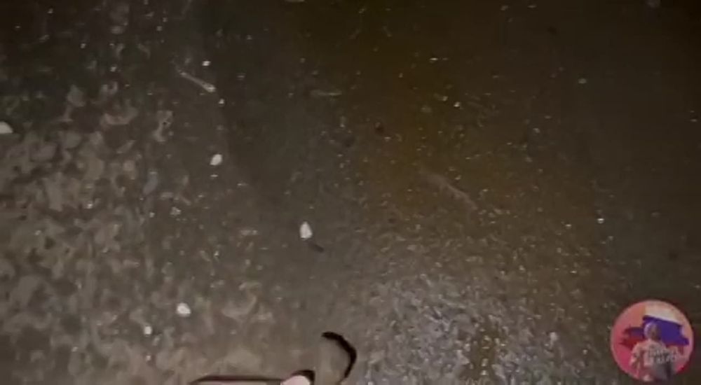 ��� ���� ��� � ������� ������� ������� ������ �����, ������� �������������� �������� �������� � �������� �������� ��������� ����� �����