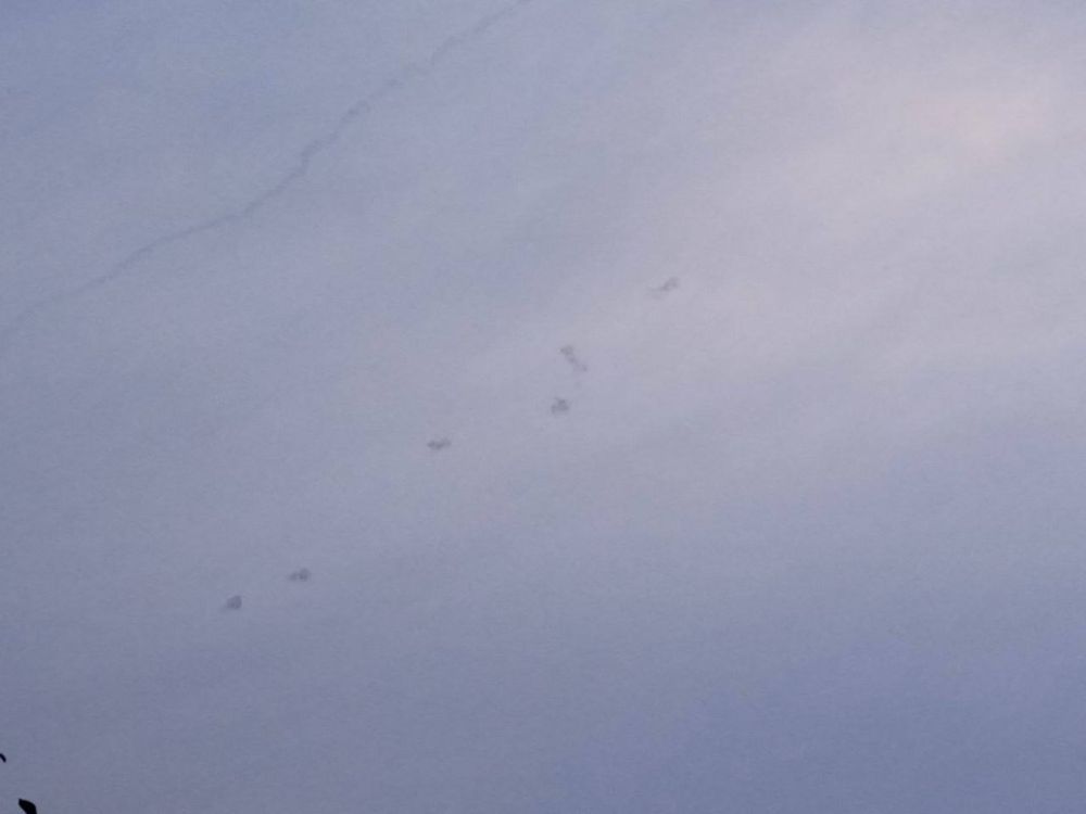 ��� ���������� ����� �������