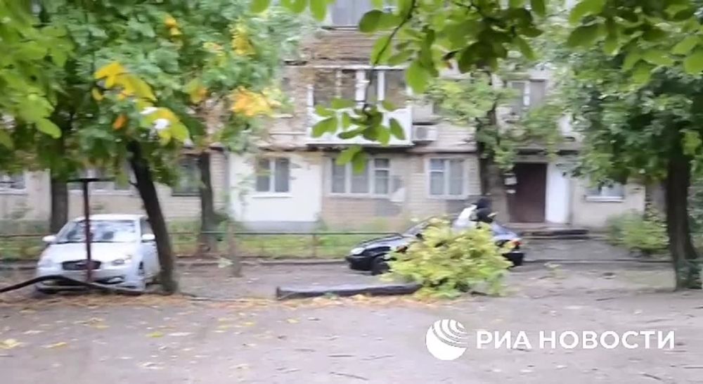 ���������� �� ������������� �������� � ������ ���� �����������