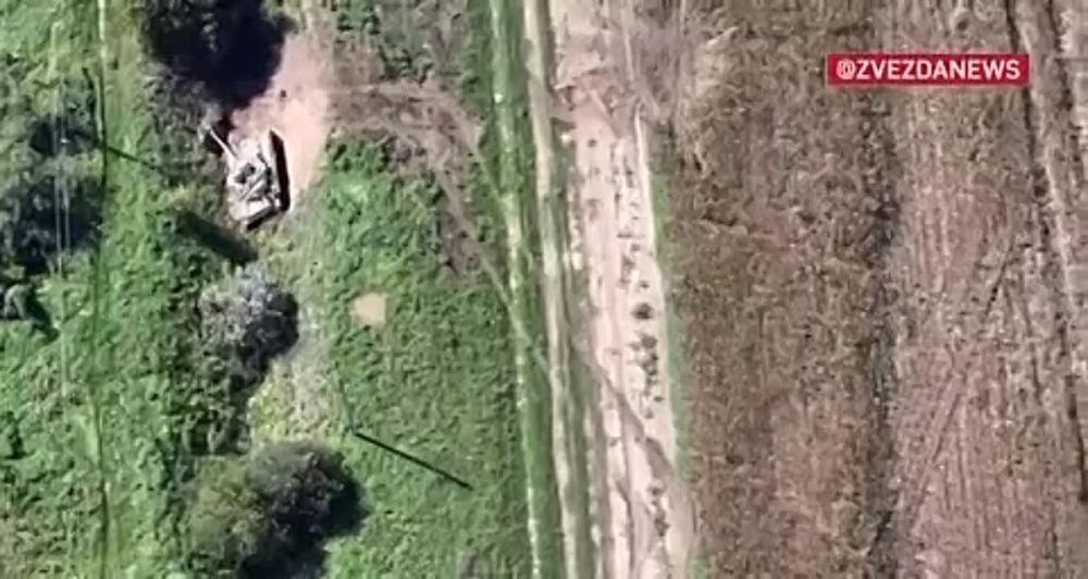 ������ �������: ���������� ��� ����� ����������� ����������� ���������� ������ ��������