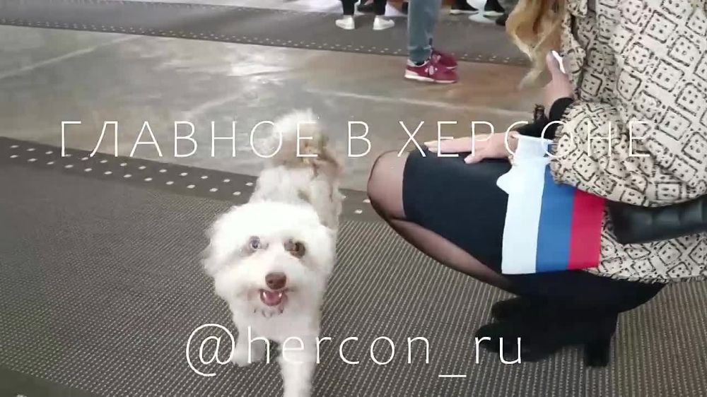 � ������� ������������� �� ������������� � ������ ������ ���� ��������