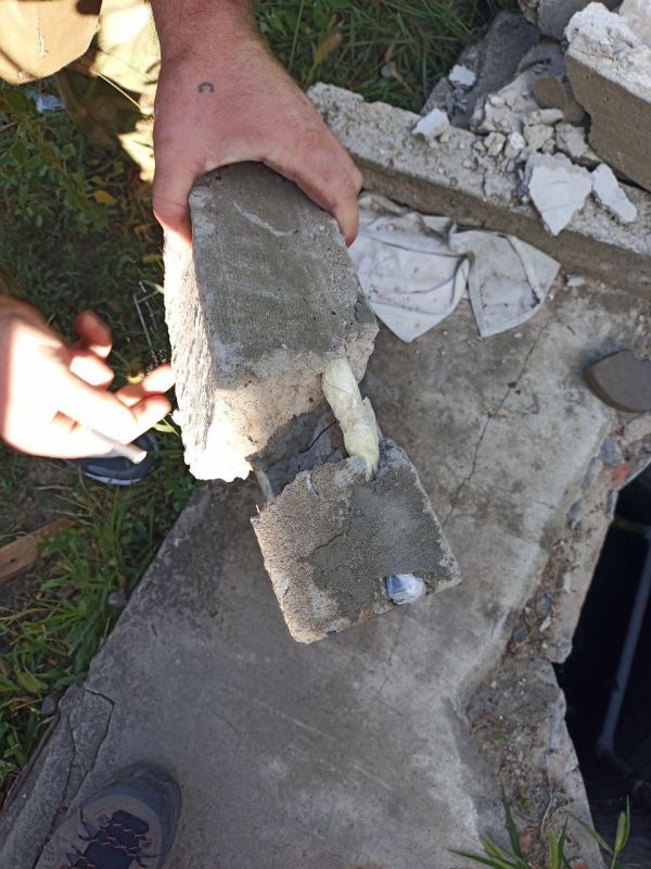 � ����������� � ������� ����������� ������ ����� ������ ������ ���������� ������, ��� ����������� �������� ���������� � ����������� ���������� (������������� ������, ����� � ��������) ������������ ����� ���������� �������