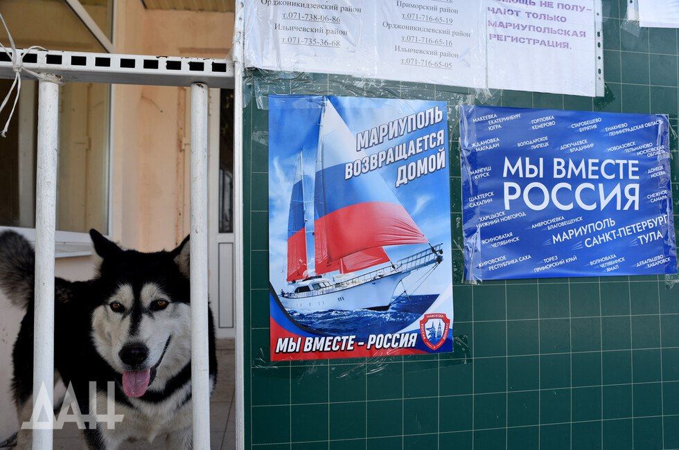 ���� � ������ ���� ����������� � ��� ��������� 23,64%