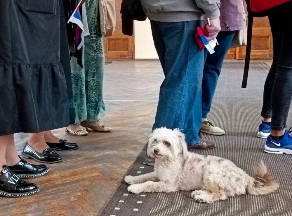 ��������� � ������� ��� ����������� � �������!