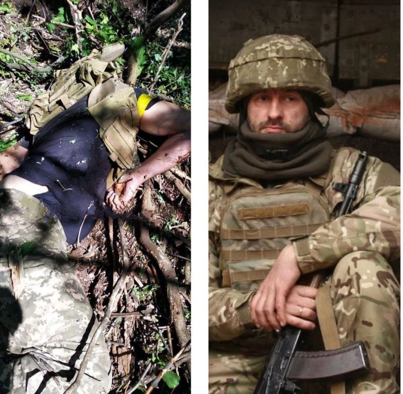 ����� �����: ��� ��� ������������ �� ���������� �����������