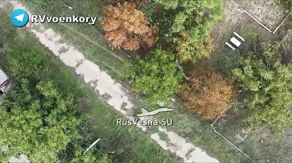 "������� �������" ���������� ����������� ������� ����� � 10 �����