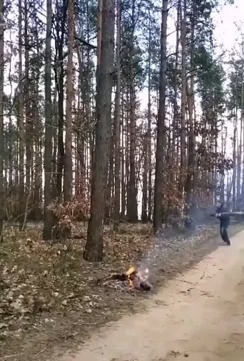 ������ ������������� ����� �� ����