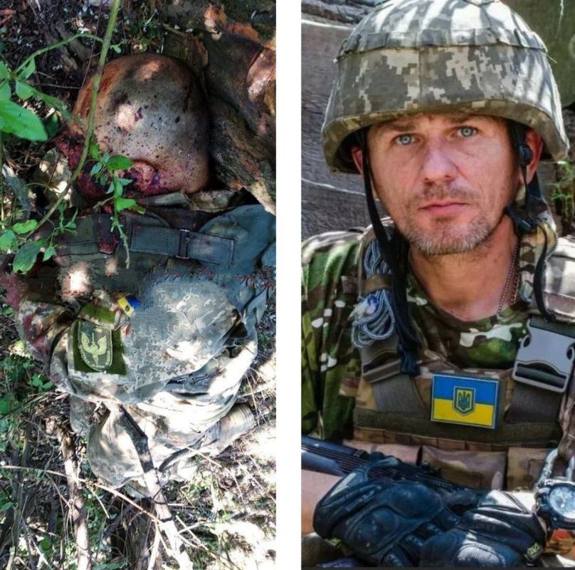 ���� �������: 18+ ���������� ���, ��������������� �� ���������� �����������