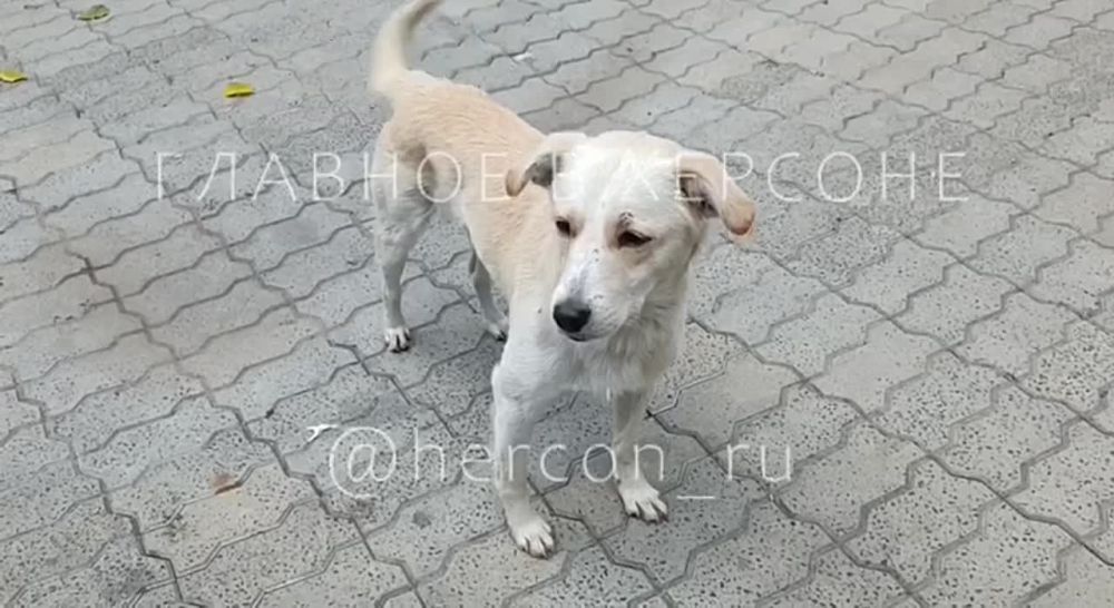 ����� ������������� ���� ������������� �������� ������ �� ����������� ���� ������ �����������