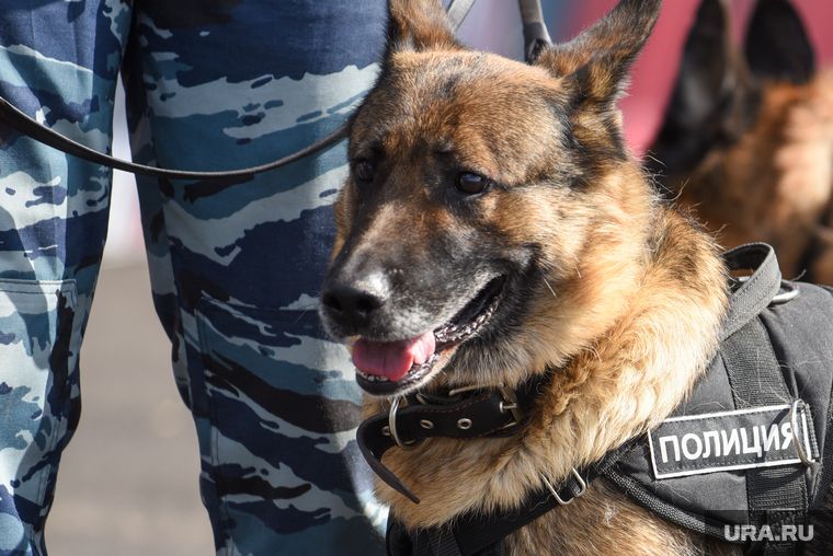 ������ ������� ��������� ������� ��� ����������� � ����������