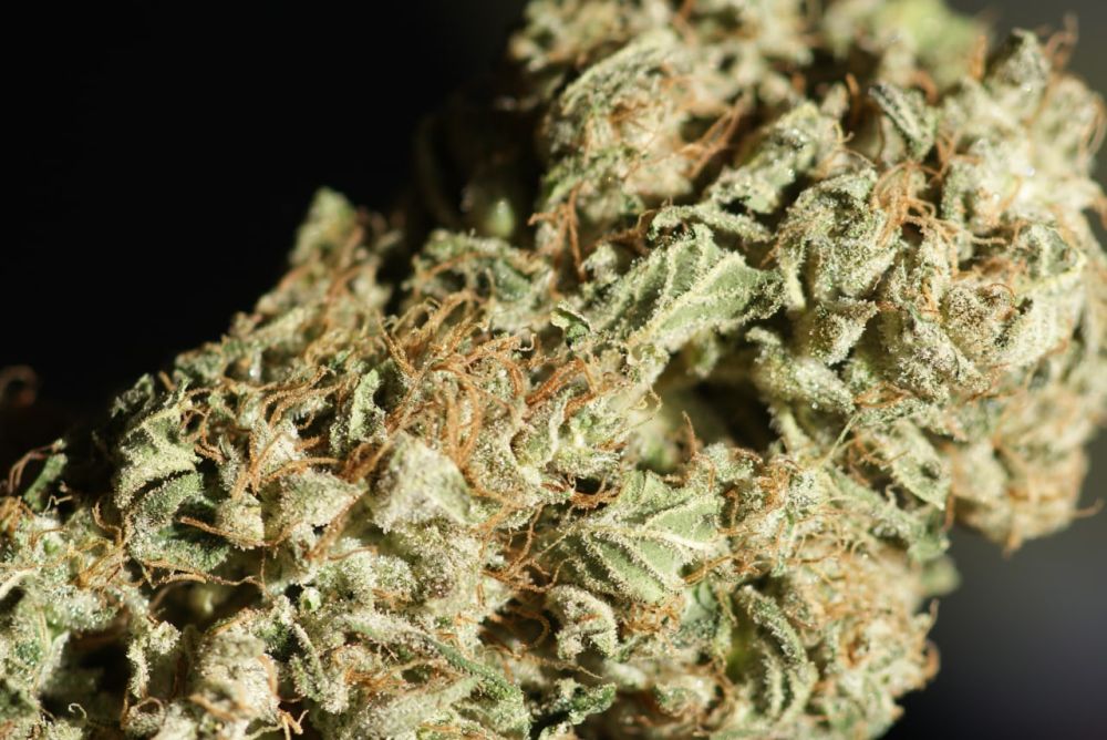 � ���������� ������������� �������������� ������ ����������� ������ ���������