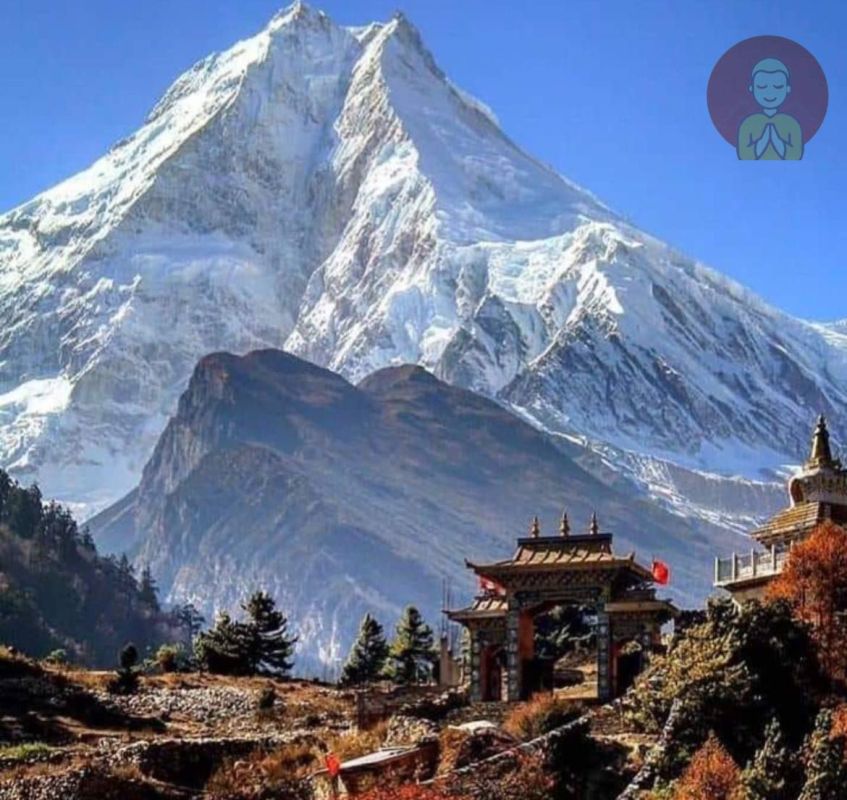 ����� �������� ��������