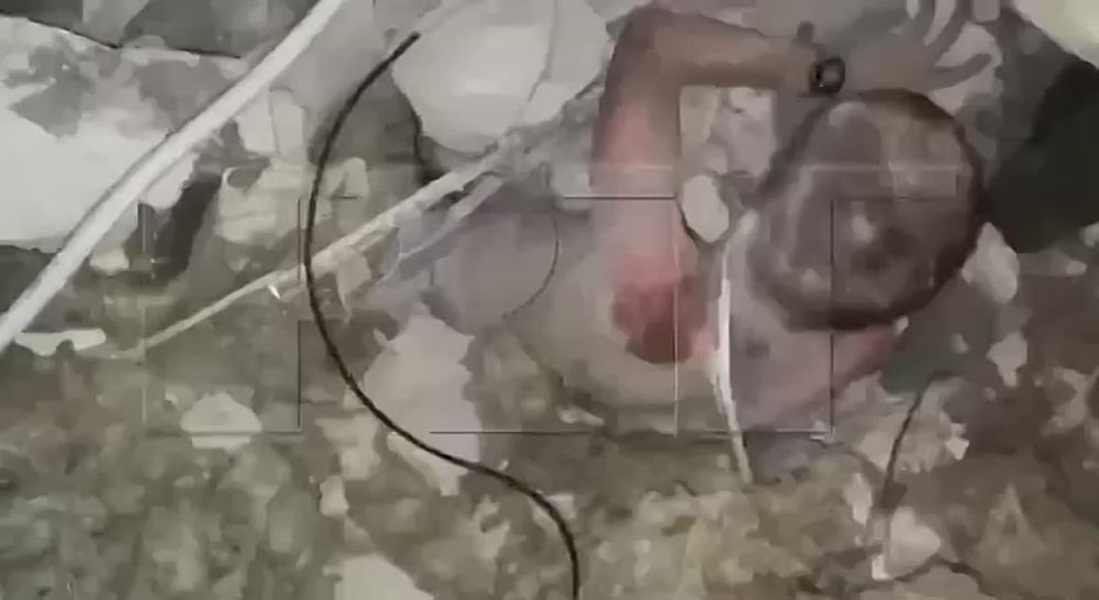 - ����� �������, ��� �� �����!