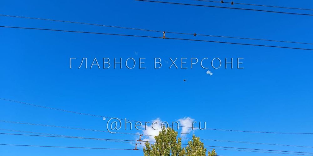 � ������� ���������� �� ����� 20 ������� � ����������������, �������� ���