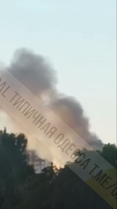 ������� ���� �� ������ ������������ ������������ "��" ��� (������)