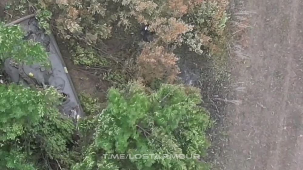 ���� ���������� ������ ��������� � ������������ ������������� ���, � ����� ������ �������� ������ ��� ��� ������ ������ ����� ���������