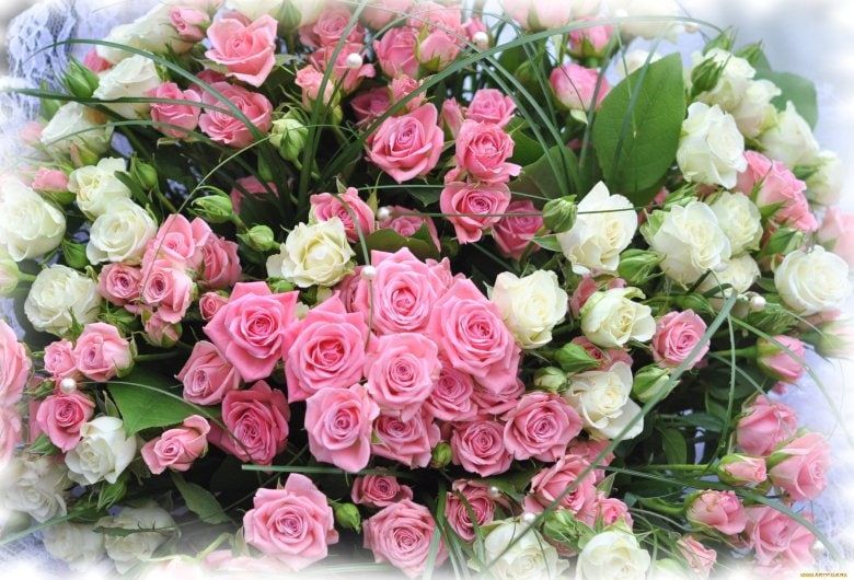 ����� ��������, �������, ���� ����� ��� ���! ����� �������, � ���� ������, ���� ������ ������� ���� ������ ����� � ����� ��������� ���������