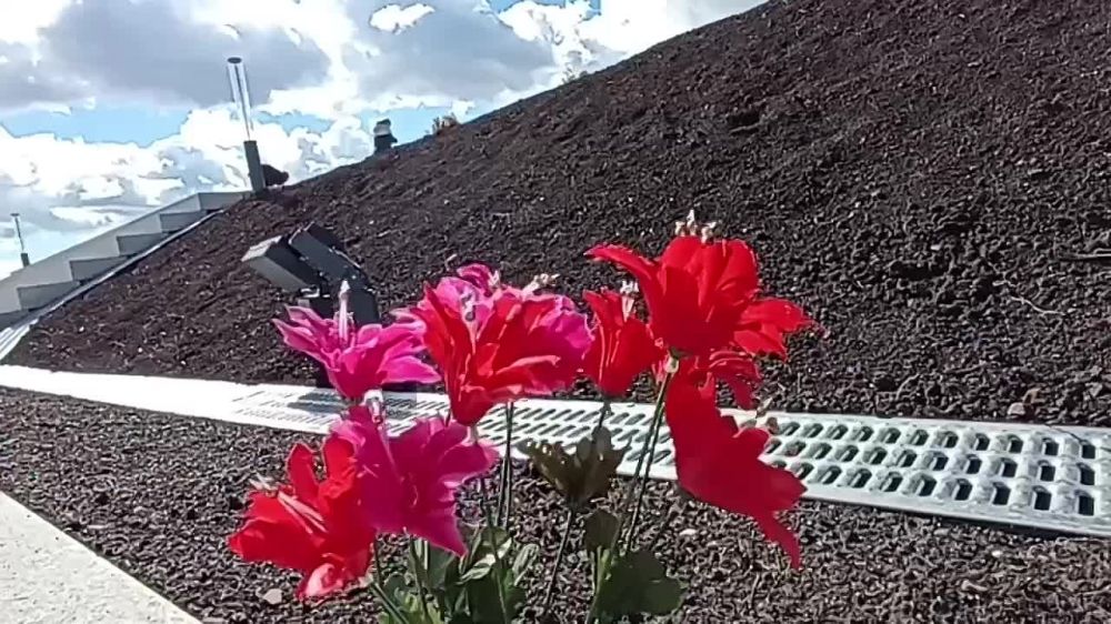 �������� �������� ���������� ��� �������