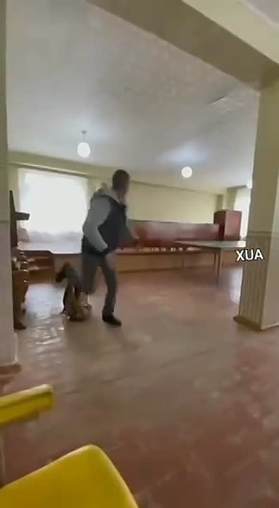 ����������� ������ �������� � ����-�������� ���������� � ��������� �������