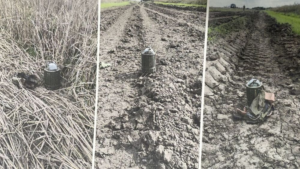 ��� ��������� ����������� ����������� � �������� ��������������� ����