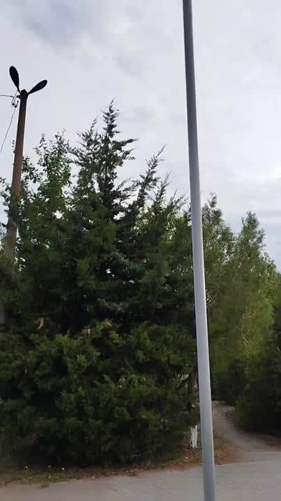 � ��������� ��������� ���� �������� � ����������� ����� � ������� ���������� ���������