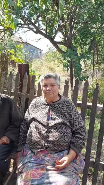 ����������: ���� ���������