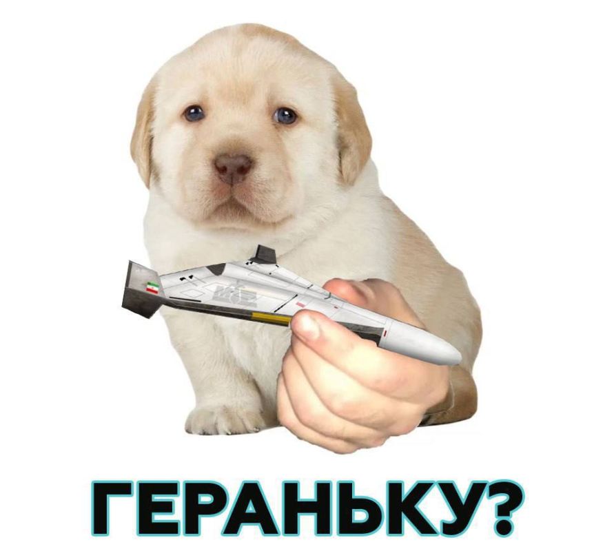 � ��������� Telegram ��� ���