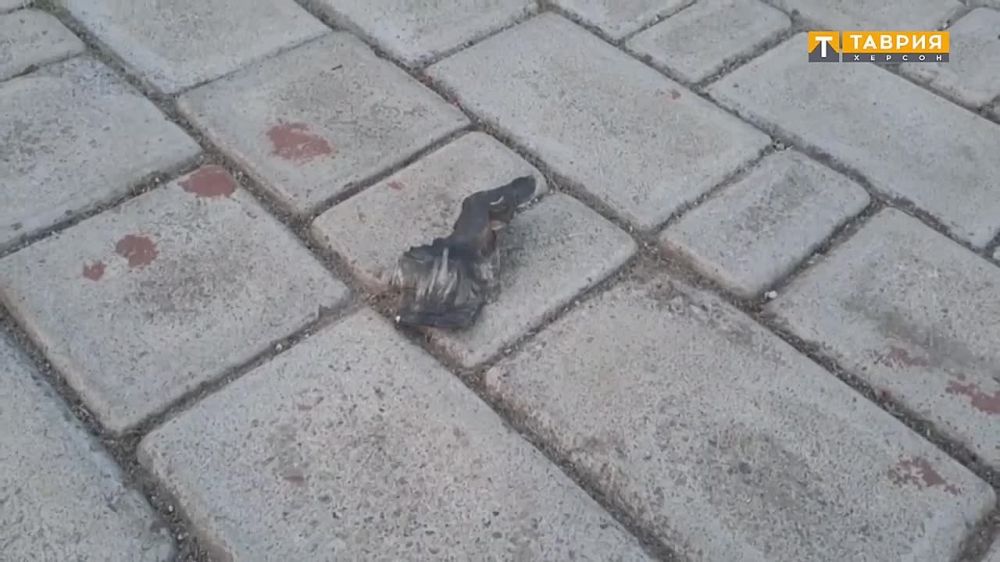 ���������� ������������ ������� ������� ���� �� ����������� �����, ����������� �������� ������� � ������