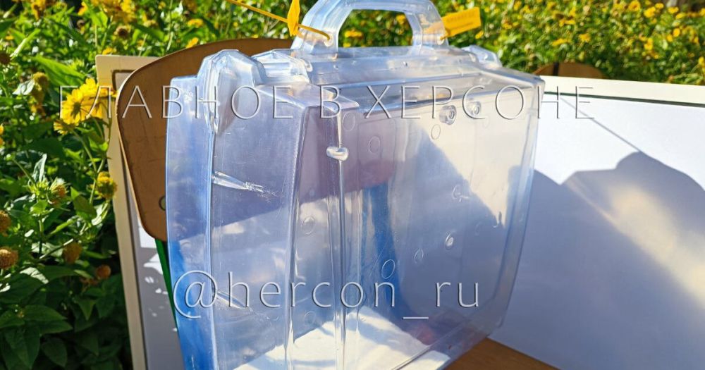 �������� �������� �������� �������� ���������� �������