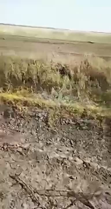 �������������� �� ������� ������������������ ������������ �� ���������� ����������� ������������ ������������� ������ International MaxxPro ������ MRAP