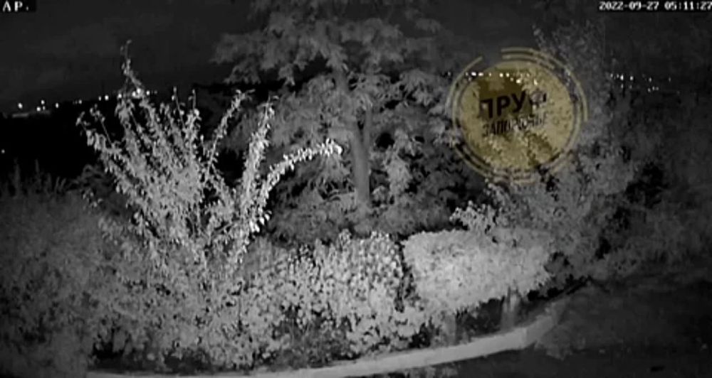 � ��������� ���������� ����� �������, �������� ���� ��� �������� �����