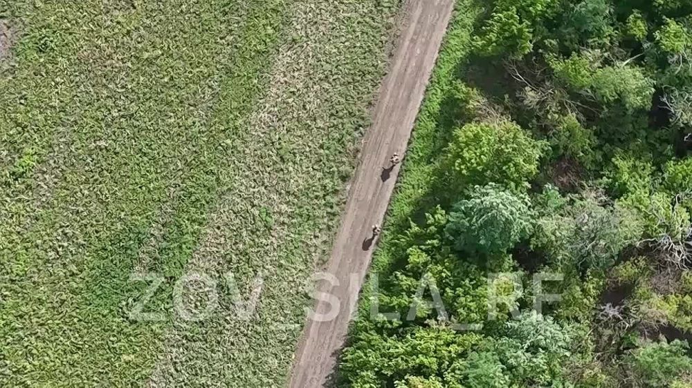 ���������� ���������� ������ ����� �� ���������� �����������