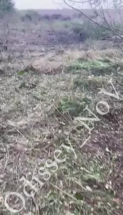 65 ������� ��� ������� ������������ ������ � ������ ����������� ������ ���������� ����������� �������, ��� ��������� ���������� ������� �����������