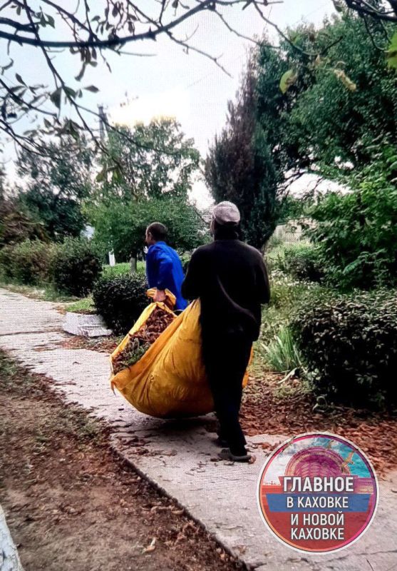 ������ �� ��������������� � ��������� ������ ������������ ������ � ������������