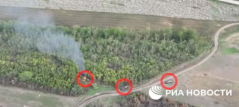 ���������� ����� ���������� ���� ��������, ���������� �������������� �� ������������ �����������