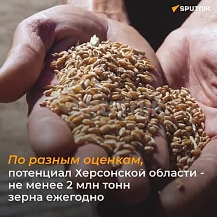 ����������� � ���, ���, ����������� � ���������� �������� � ������� �������