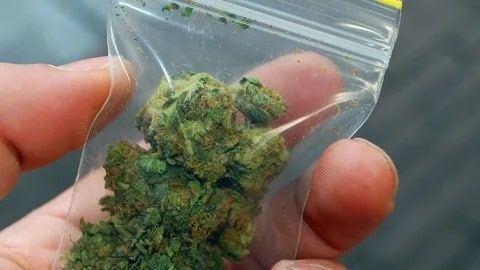 � ��������������� ������������� ������ ����������� ��������� ��������, � ������ �������� ��������� ���������