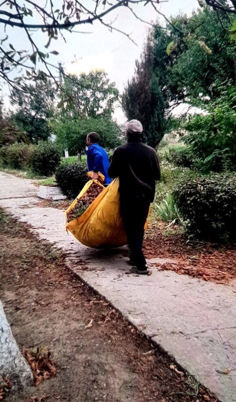 � ������������� ������� ������������ ������ �� ��������������� ����������