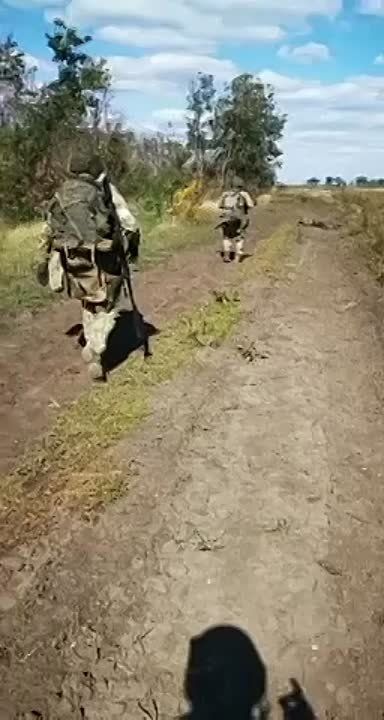 ���������� ������� ���������� ��� ���� ����������� YPR-765 ��� � ���������� �������