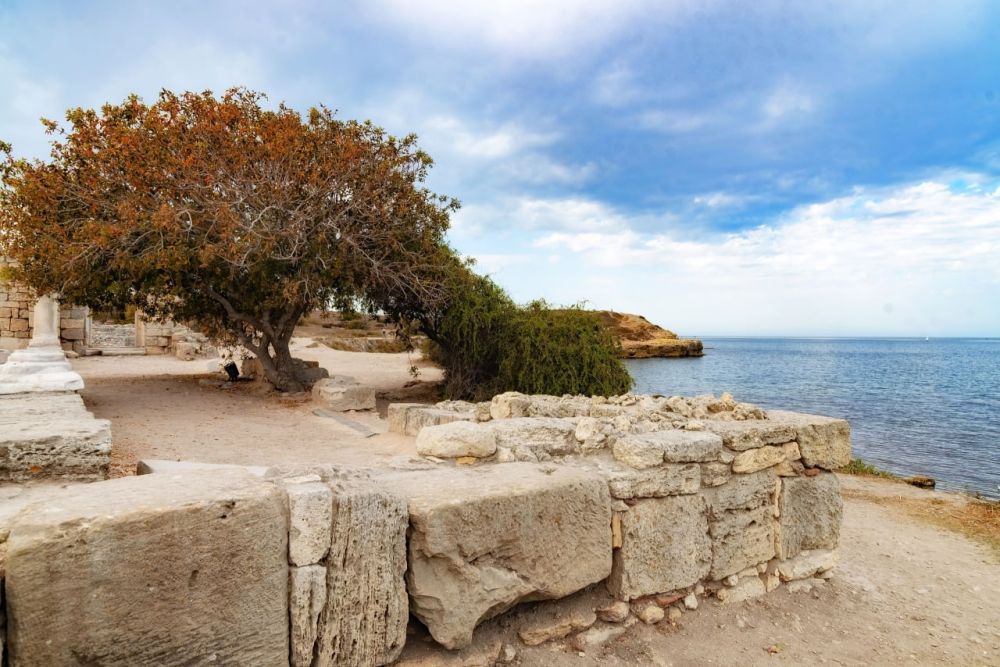 #��������_��_����