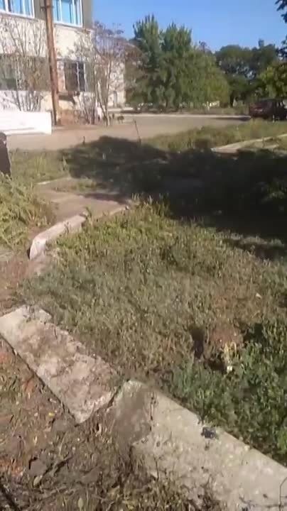 � ���� Ը������� ������� ������ ����������