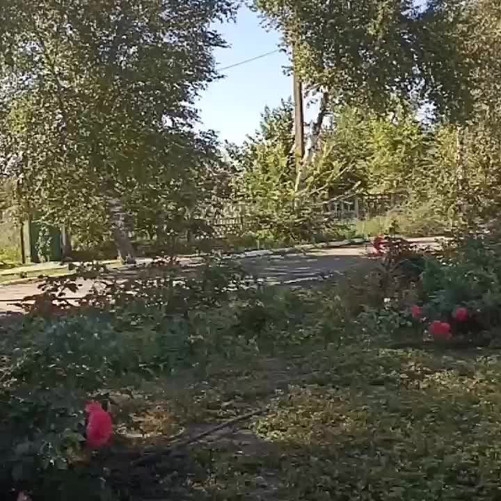 � ���� ������� ���������� ������ ���� ��������� ������ �� ��������������� ����������