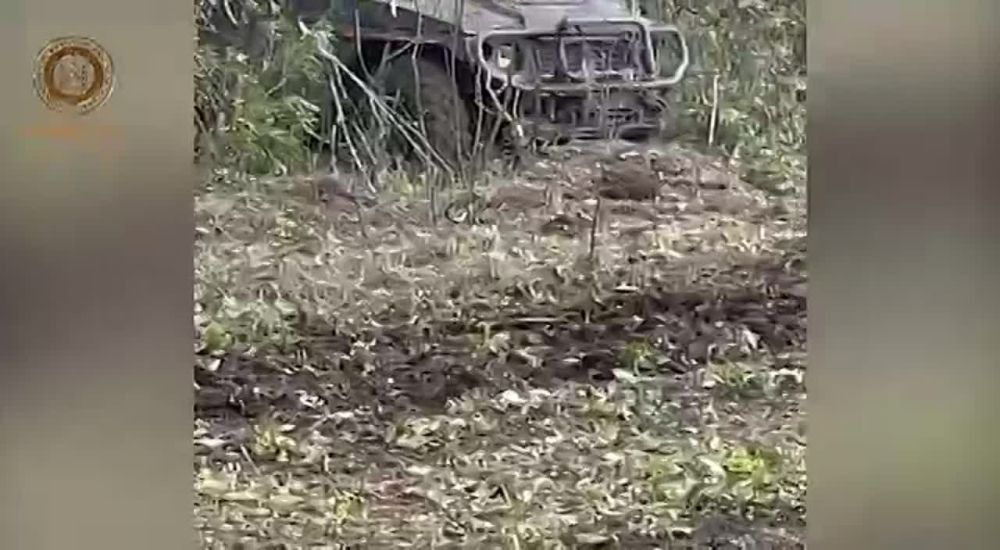 ��������� ����� ����� ������ ���������� �������������� �������� �� ������������ �����������, �������� ������������� ����������