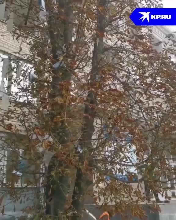 ������� ������������� �� ���������� ����������� � ���������� ������� ����������� �������