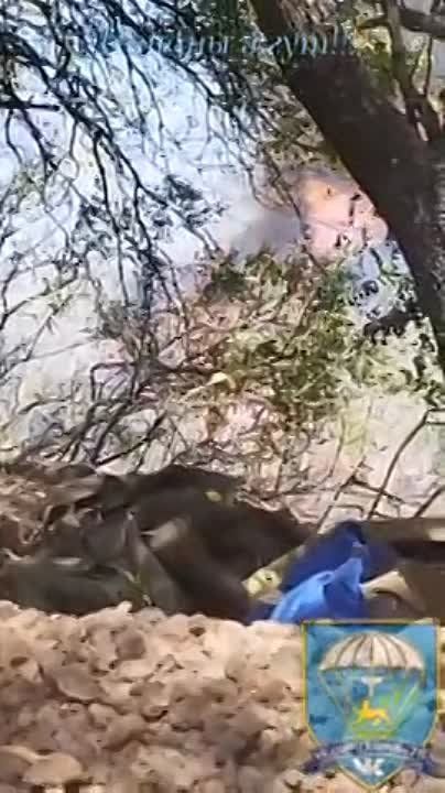 ���������� ���������� ���������� ������� ��� � ���������� �������