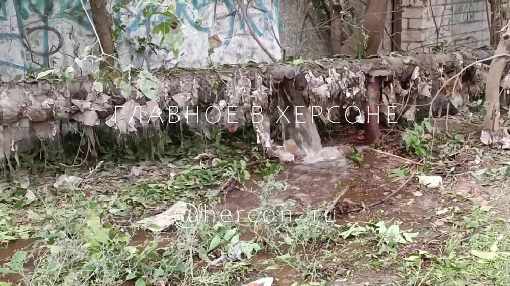 ����������� �������� ��� ������ ���� � ���� ������ �������, ������ ��������� ���������