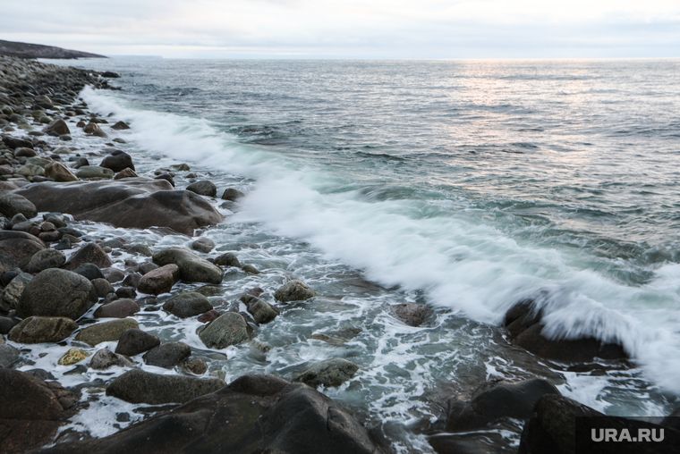 ������ ����� �������, ��� �������� ���� ������ ���������� ��� ������