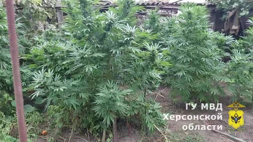 � �. ���������� ������������ �������������� ������ ����������� ������� ��������� ������������ �������