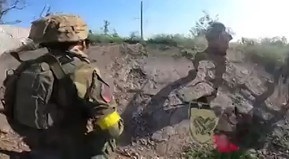 ����������� ������ "�������" ������ � ���������� �������