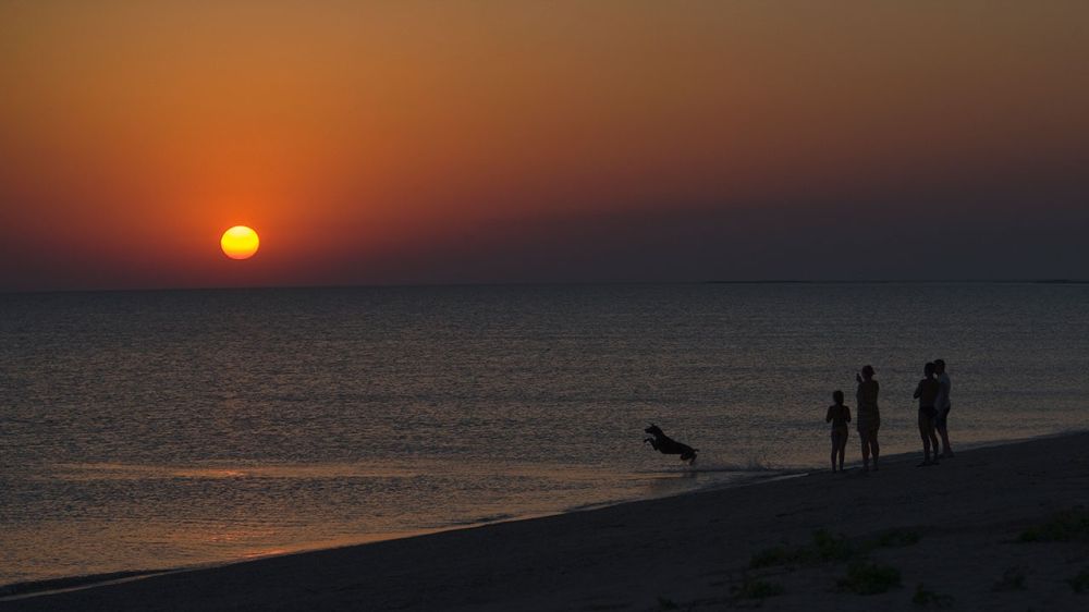 � ����� ������� �� ��������� ������� ��������� ���� ����� ������������